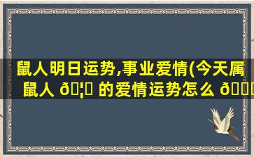 鼠人明日运势,事业爱情(今天属鼠人 🦅 的爱情运势怎么 🐎 样)